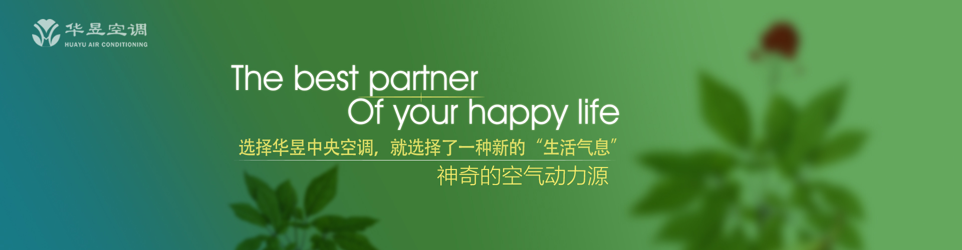 贪心不足网